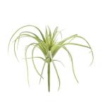  искусственный цветок MAGIQ Tokyo . воздушный растения #24 GREEN FG001364-024 искусственный цветок лист предмет, искусственная зелень воздушный растения 