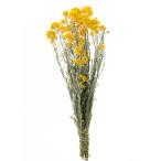  dry желтый цветок погрузчик nse примерно 25g FD003003 сухой цветок материалы для цветочной композиции прочее сухой цветок 