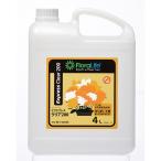  или sis*AX* флора жизнь Express прозрачный 200 4 литров 4000ml 81-42006 срезанный цветок длительная долговечность . питание . прочее срезанный цветок питание .