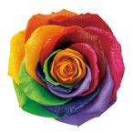  консервированный amo low sa бриллиант - современный 85-en Boss черный seven подставка DD001216-077 консервированный цветок подарок роза 1 колесо 