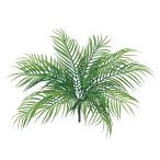  искусственный цветок MAGIQ Tokyo .pa-m leaf втулка GREEN FG007105 искусственный цветок лист предмет, искусственная зелень cocos nucifera 