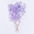  консервированный Tokyo . Petit Flower soft Minica s mia kebiDU000104-049 консервированный цветок материалы для цветочной композиции rental mi.