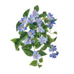 造花 MAGIQ東京堂 サザンクレマチスブッシュ #11 BL LV ブルーラベンダー FM002454-011 造花 花材「か行」 クレマチス