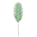  искусственный цветок MAGIQ Tokyo .areka cocos nucifera M GREEN зеленый FG000552 искусственный цветок лист предмет, искусственная зелень cocos nucifera . покупка 