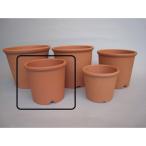 �ǾƤ�ȭ �ӥݥå� ���� �־� 4120061 ����ȭ ������� �����ǥ˥� ������� �ե��ݥå� �ƥ饳�å� �ǾƤ�