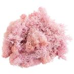  консервированный GARDEN PALETTE MONO лёд Land Moss примерно 50g розовый GPM-06 консервированный зеленый Moss мох 