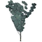  консервированный GARDEN PALETTE MONO эвкалипт po тянуть s голубой GPUP-04 консервированный зеленый лист предмет 