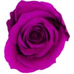  консервированный GARDEN PALETTE MONOmi Arrows 8 колесо лиловый GP920-12 консервированный цветок материалы для цветочной композиции роза rose 