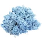  консервированный GARDEN PALETTE MONO лёд Land Moss примерно 50g пудра голубой GPM-17 консервированный зеленый Moss мох 