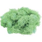  консервированный GARDEN PALETTE MONO лёд Land Moss примерно 50g lagoon GPM-20 консервированный зеленый Moss мох 