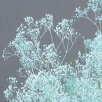  день ограничение 21 консервированный небольшое количество . большой земля сельское хозяйство . Minica smi. примерно 6g голубой 00051ON консервированный цветок материалы для цветочной композиции rental mi.