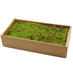  консервированный GARDEN PALETTE MONO Flat Moss высокий goke springs зеленый GPM-61 консервированный зеленый Moss мох 