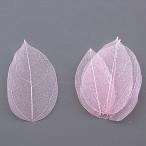 dry GARDEN PALETTE MONO Mini каркас leaf розовый примерно 20 листов GPMN-02 dry лист предмет leaf 