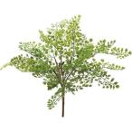  искусственный цветок YDM Asian tam втулка зеленый FG4508-GR искусственный цветок лист предмет, искусственная зелень мех n. покупка 