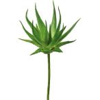  искусственный цветок YDM blow mi-kakta Spick светло-зеленый FG4462-LGR искусственный цветок лист предмет, искусственная зелень кактус 