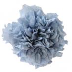 ショッピングカーネーション プリザーブド フロールエバー スタンダードカーネーション コットンブルー 6輪 FL1100-56 プリザーブドフラワー花材 カーネーション