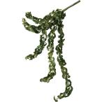  сильно сниженная цена искусственный цветок YDMeski наан подвеска вешалка GR GL -5261-GR искусственный цветок лист предмет, искусственная зелень другой искусственный цветок зеленый 