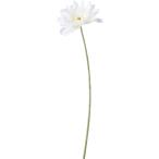  искусственный цветок YDM макароны одиночный гербера белый FD-0120W искусственный цветок материалы для цветочной композиции [. line ] гербера 