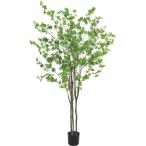 直送 人工観葉植物 YDM ドウダン グリーン GLP-1538GR ※返品 代引 キャンセル不可