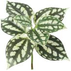  искусственный цветок YDMpi редкость glauka белый зеленый FG-5299W G искусственный цветок лист предмет, искусственная зелень другой искусственный цветок зеленый 