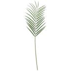  искусственный цветок YDMareka cocos nucifera leaf S зеленый FG-5302GR искусственный цветок лист предмет, искусственная зелень cocos nucifera . покупка 