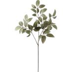 искусственный цветок YDM sepia leaf спрей зеленый FG-5335GR искусственный цветок лист предмет, искусственная зелень другой искусственный цветок зеленый . покупка 