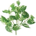  искусственный цветок YDM pothos втулка зеленый GL-5354-GR искусственный цветок лист предмет, искусственная зелень pothos 