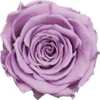  день ограничение 07 консервированный amo low обезьяна -na|6 колесо ввод опера сиреневый 1115-56 консервированный цветок материалы для цветочной композиции роза rose 