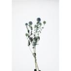  dry большой земля сельское хозяйство .ruli шар a The mi примерно 6 колесо N 10280-000 сухой цветок материалы для цветочной композиции a The mi Erin jium