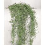  консервированный большой земля сельское хозяйство .spanishu Moss профессиональный 1kg зеленый обработка 61067-707 консервированный зеленый Moss мох 