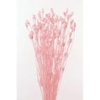  dry большой земля сельское хозяйство . поток Len tina30g розовый 50510-101 сухой цветок материалы для цветочной композиции прочее сухой цветок 