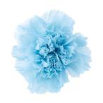 プリザーブド 大地農園 カーネーション　8輪　ベビーブルー 02380-621 プリザーブドフラワー花材 カーネーション