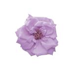  консервированный большой земля сельское хозяйство . French ma Lien n Suite lilac 12 колесо 02412-45101 консервированный цветок материалы для цветочной композиции роза rose 