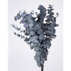  консервированный большой земля сельское хозяйство . эвкалипт серебристый maru ba140g ввод зеленый 02150-700 консервированный зеленый лист предмет 