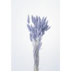  dry большой земля сельское хозяйство .la стакан 15g Angel лиловый 42050-451 сухой цветок материалы для цветочной композиции la стакан 