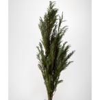  консервированный большой земля сельское хозяйство .kohiba примерно 90g зеленый 01380-700 консервированный зеленый лист предмет 