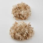  консервированный большой земля сельское хозяйство . стойка mid гортензия head примерно 2 колесо белое золото 01510-019 консервированный цветок материалы для цветочной композиции гортензия 