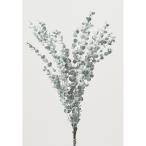  консервированный большой земля сельское хозяйство .g колено эвкалипт примерно 2 шт коврик белый 02290-013 консервированный зеленый лист предмет 