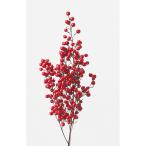  dry большой земля сельское хозяйство . юг небо. реальный примерно 2 шт N красный 22580-000 dry оригинал & фрукты прочее 