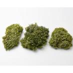  консервированный большой земля сельское хозяйство . Broad moss green 61020-700 консервированный зеленый Moss мох 