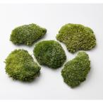  консервированный большой земля сельское хозяйство . бассейн moss green 61081-700 консервированный зеленый Moss мох 