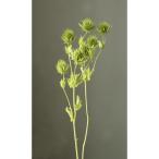  консервированный большой земля сельское хозяйство . Erin ju-m Magne -ta- примерно 2 ho n glass green 10340-791 консервированный цветок материалы для цветочной композиции маленький цветок 