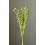  dry большой земля сельское хозяйство . Lynn цветок примерно 25g glass green 35010-791 сухой цветок материалы для цветочной композиции прочее сухой цветок 