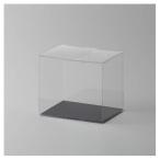 k Ray clear case CLEAR 860-001-000 упаковка коробка подарочная коробка прозрачный чехол box 