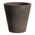 ľ�� ���쥤 TERRA-MENT_Round 53 DARK GRAY 910-224-811 ����ȭ ������� �����ǥ˥� ������� �ե��ݥå� ���饹�ե����С�ȭ