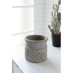 ������07 ���٥�ȥ����ǥ� �ǥ������ ���ޥ����ݥå� M WJ-02 ����ȭ ������� �����ǥ˥� ������� �ե��ݥå� ������ȭ