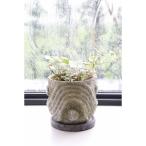  день ограничение 07ko отдушина сад way b Stone pot PT-53 цветочный горшок модный садоводство садоводство сопутствующие товары цветок pot цемент горшок 