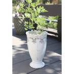  цветочный горшок модный день ограничение 07ko отдушина сад klanas длинный pot QY-99 садоводство садоводство сопутствующие товары цветок pot керамика керамика горшок 