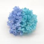  консервированный восток цветок FM soft дыра bell сладости BOX примерно 1 колесо pa-plishu голубой & пустой 80607 консервированный цветок материалы для цветочной композиции гортензия 