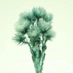  dry восток цветок серебряный te-ji- Mini примерно 20g grayish голубой 76122 сухой цветок материалы для цветочной композиции серебряный te-ji-